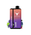 Grape Ice / Triple Berry 45K - Lost Bulz