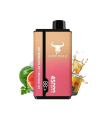 Watermelon Ice / Red Bull Ice 45K - Lost Bulz