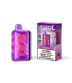 Grape İce - Vozol Rave 40K Puff