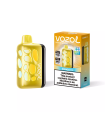 Mango İce - Vozol Rave 40K Puff