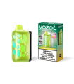 Watermelon Bubblegum - Vozol Rave 40K Puff
