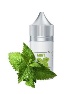 Saltica Mint Salt Likit 30ml | ilksigaran